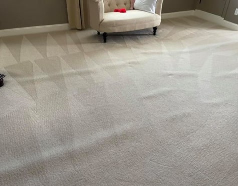 carpet cleaning kingston