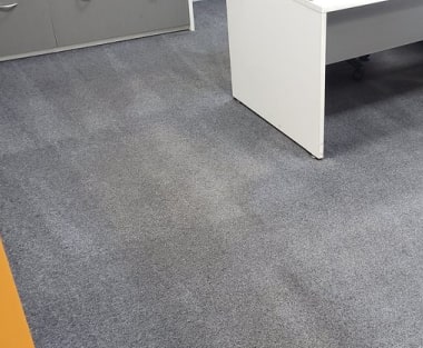 carpet odour removal services in kingston