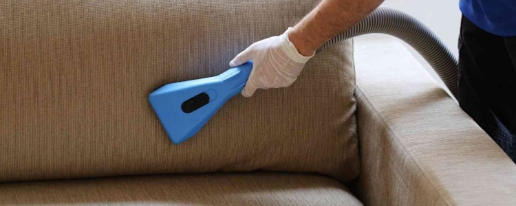 upholstery cleaning kingston